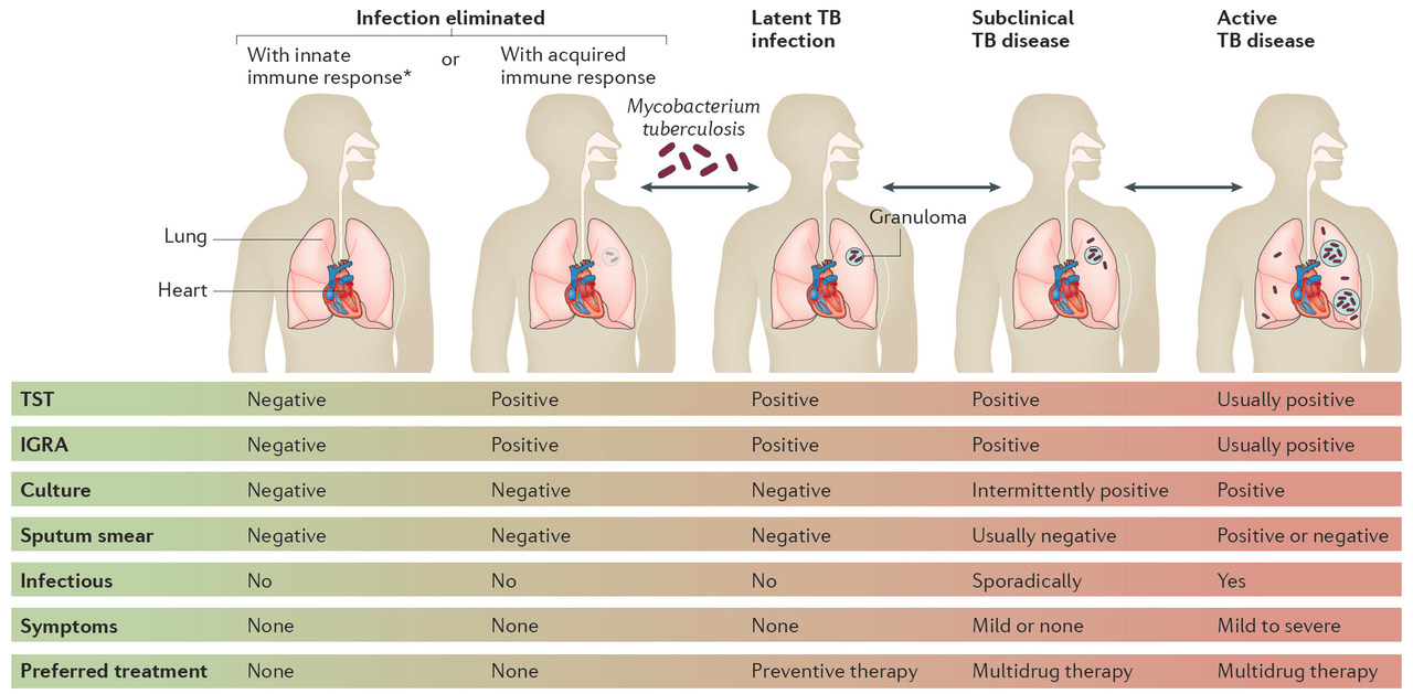 The Spectrum of Tuberculosis and Why It Matters